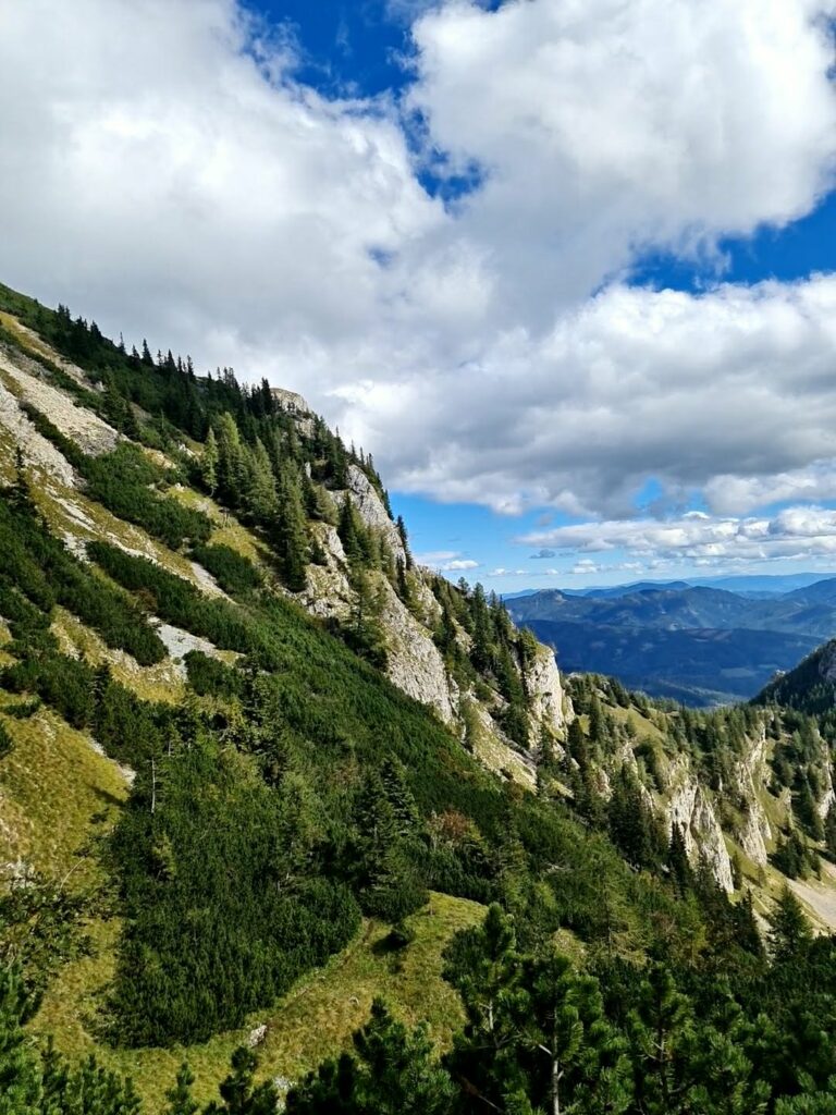 Gai: Gößeck (2214m) Diesen Berg hatte ich schon lange auf meiner Liste, der Gedanken an den Ausblick hat mir schon das Herz höher schlagen lassen. Sicherlich war daran auch die 1330 hm die man zurücklegt schuld.