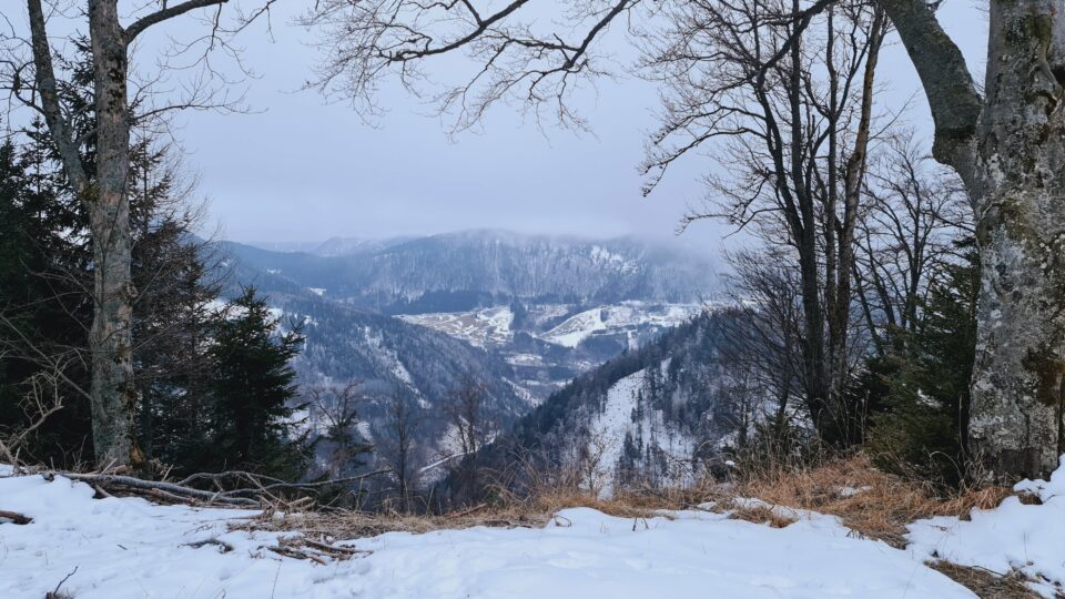 Tour #01|2021 – Geheimtipp Schneeschuhkegel