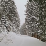 Tour #03|2021 – Extrem Schneeschuhwandern auf der Wildalpe