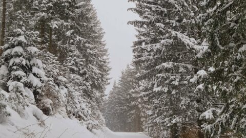 Tour #03|2021 – Extrem Schneeschuhwandern auf der Wildalpe