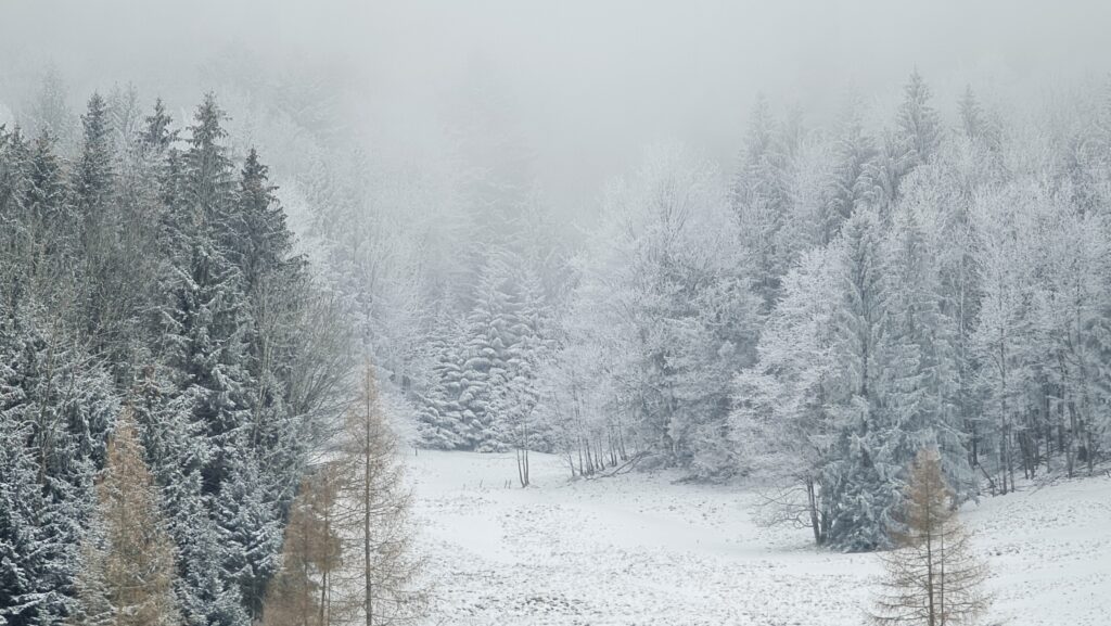 Prochenberg Aussicht