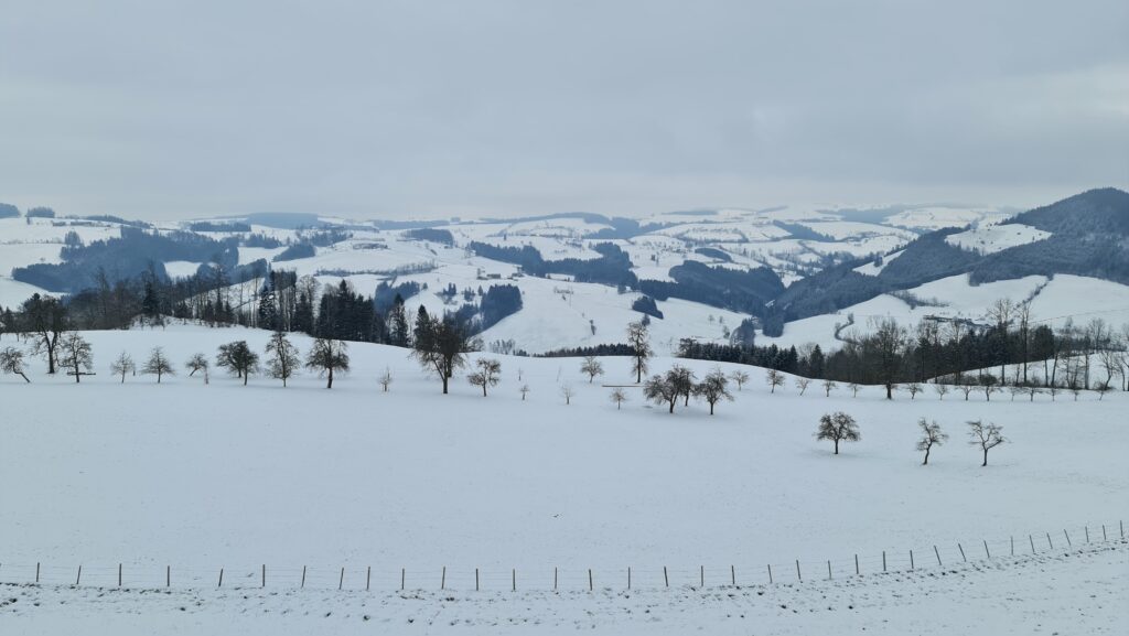 Prochenberg Aussicht