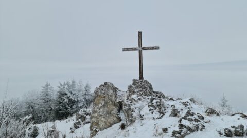 Tour #05|2021 – Prochenberg Tour mit Aussicht