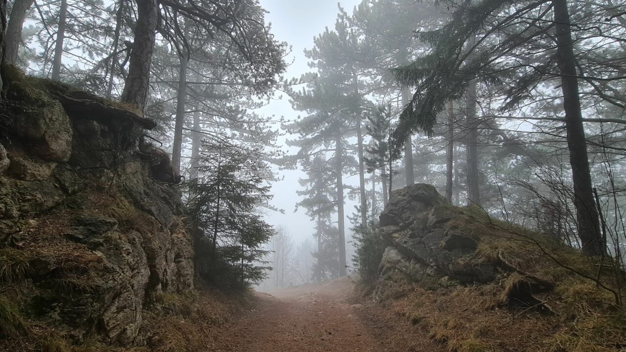 Tour #06|2021 – Gelände vom Grünbacher Sattel | im Nebelmeer